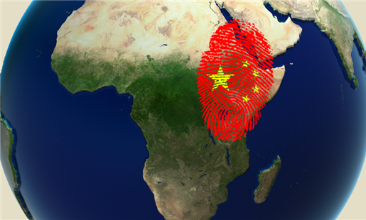 China's Engagement in Africa & The Middle East 